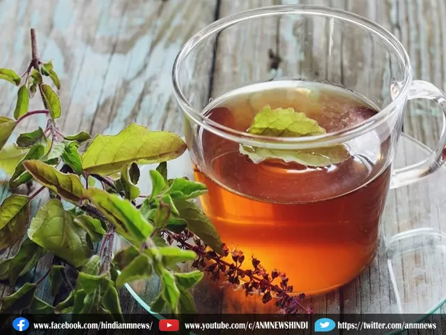 tulsi tea