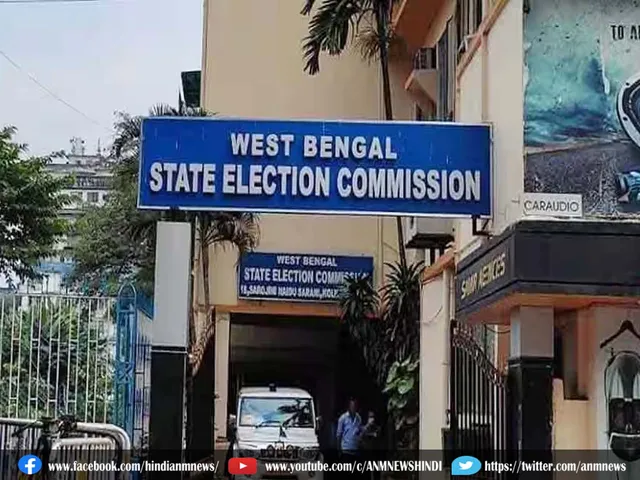 state election