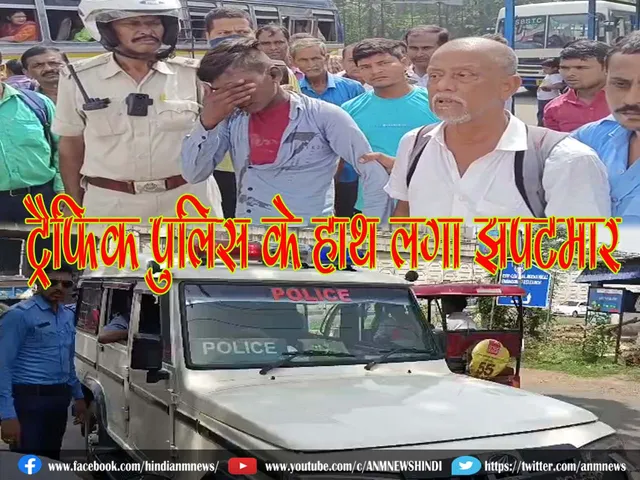 traffic police