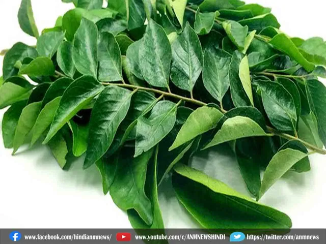 curryleaves