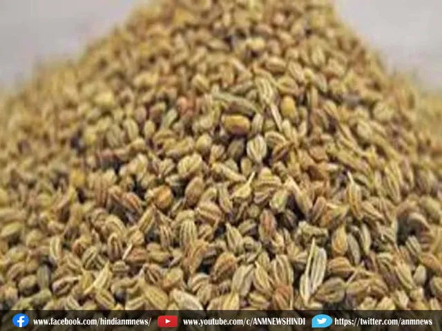 ajwain