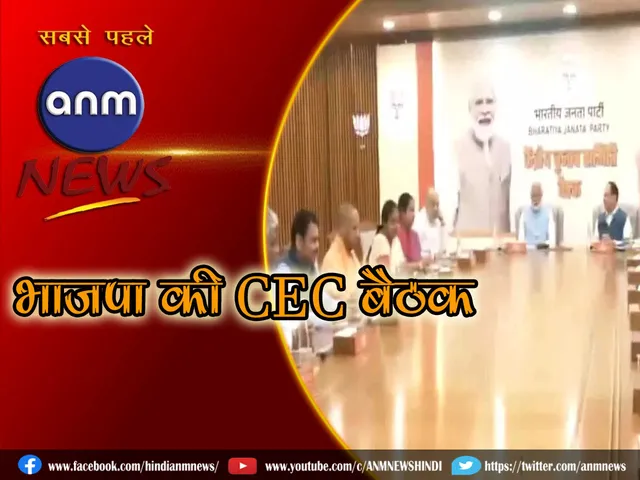 BJP CEC