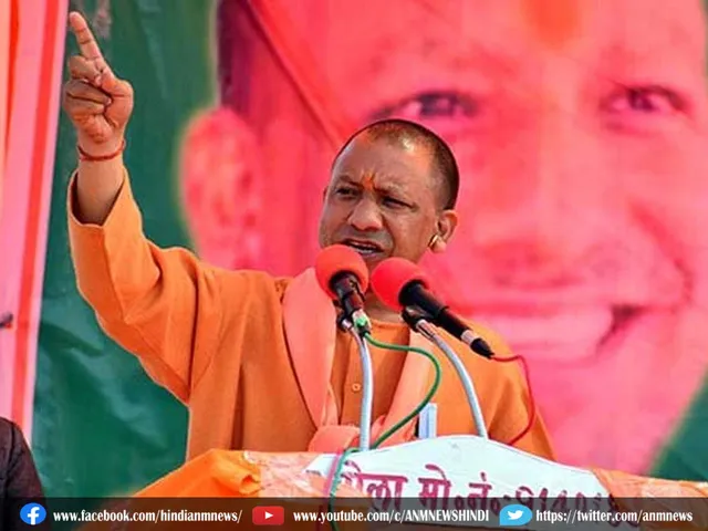 yogi