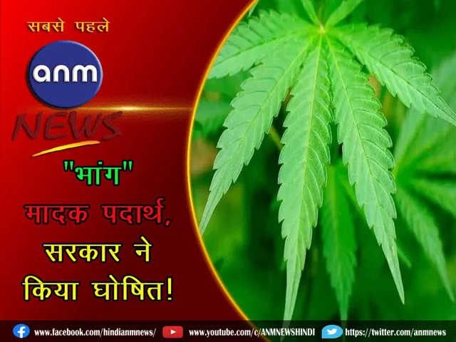 bhang 14