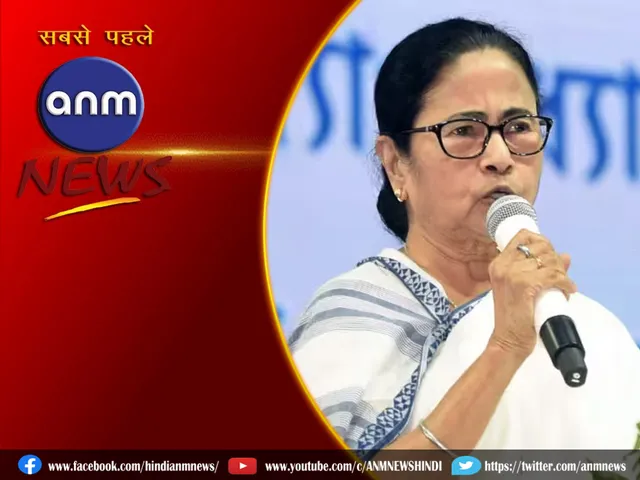 mamata steel