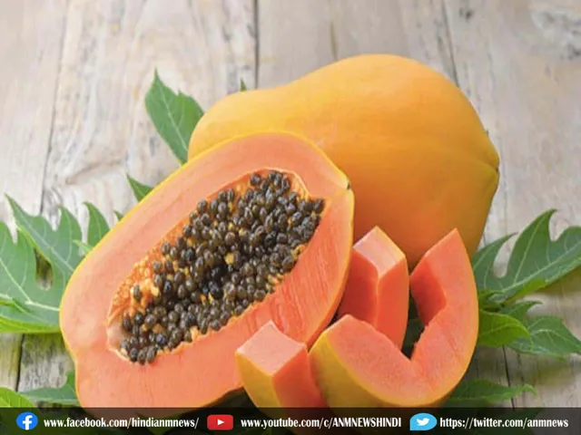 papaya