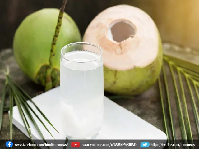 coconut water summer season