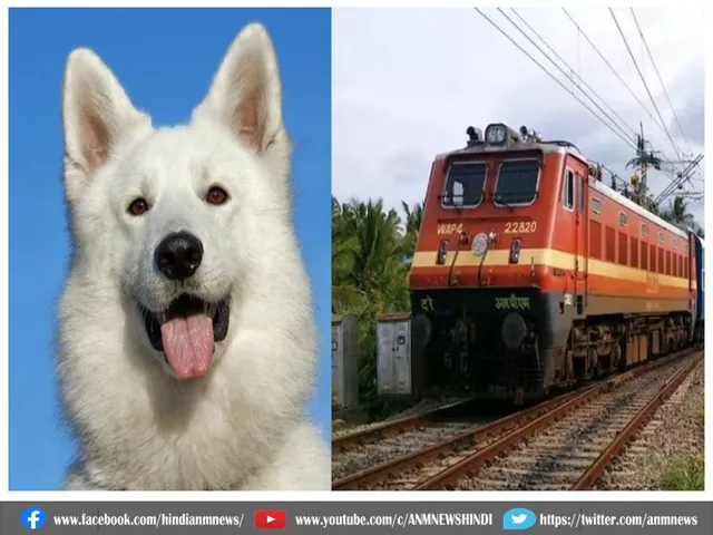 train