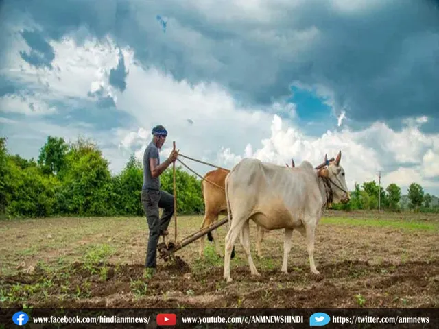 farmer