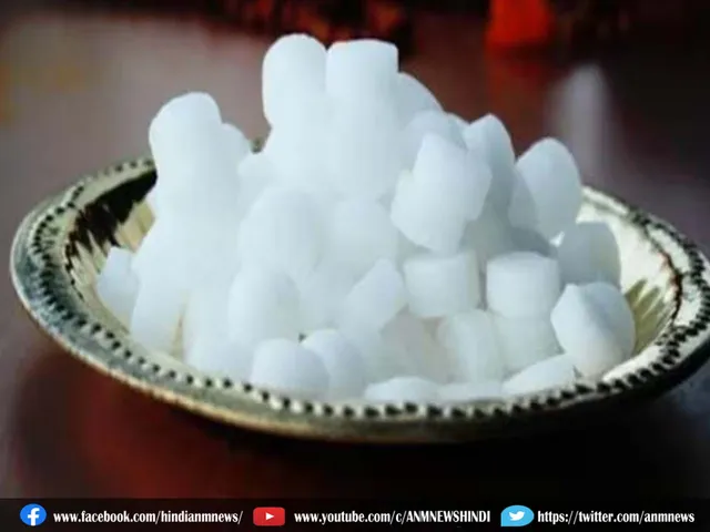 camphor importance.