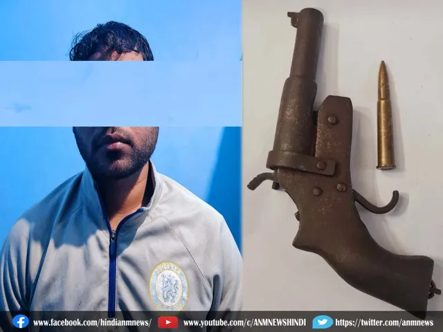 firearm
