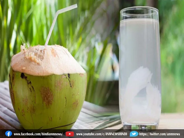 coconut water summer