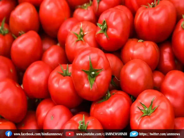 tomato stolen