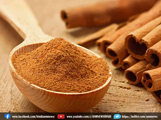 dalchini powder ant