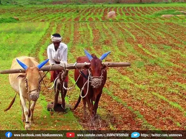 farmer