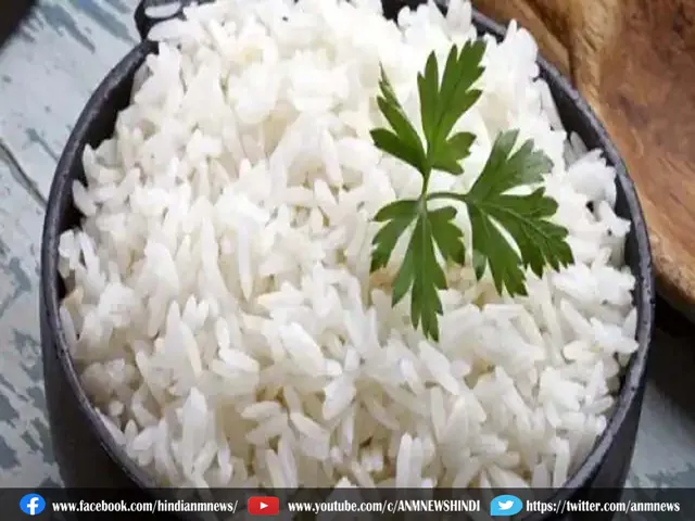rice