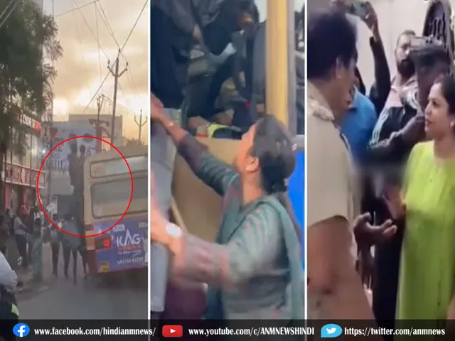 11 Viral Video