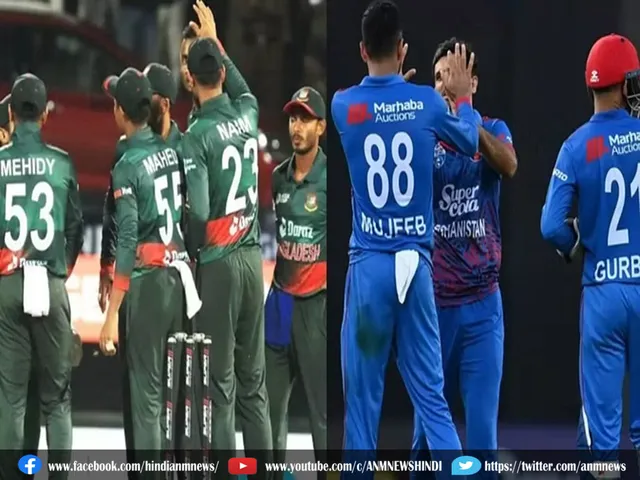 cricket