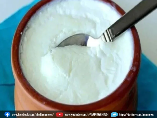 curd