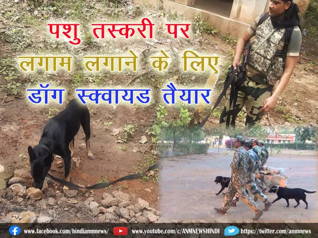 BSF_dog squad