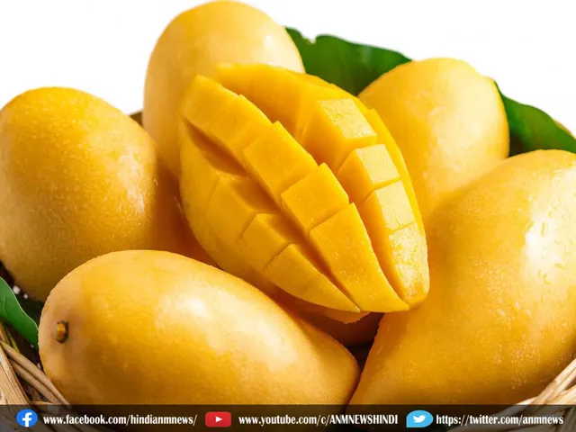 mango fruit