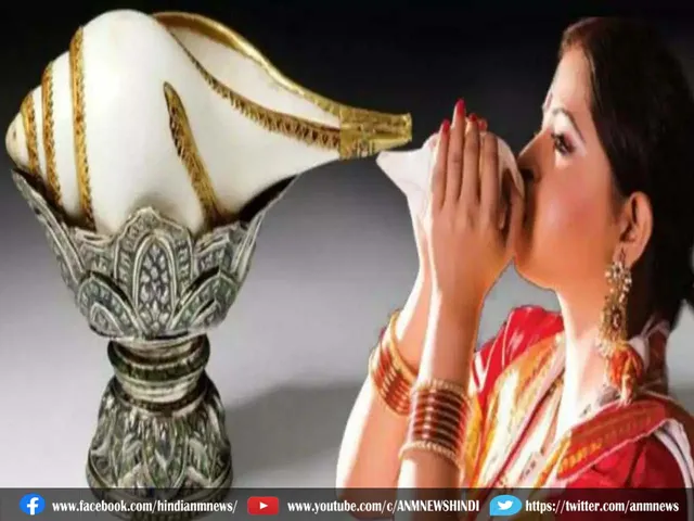 conch shell