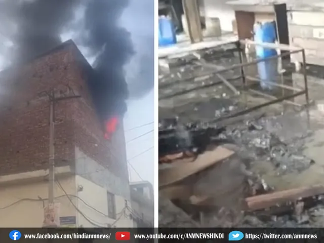 fireludhiana