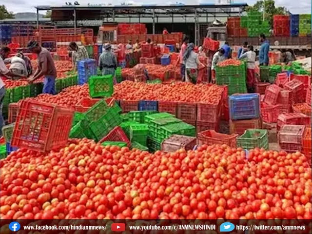 Tomato prices