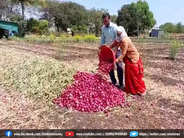 onion farmers