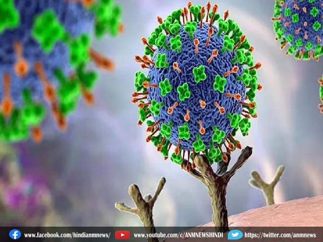 nipuh virus
