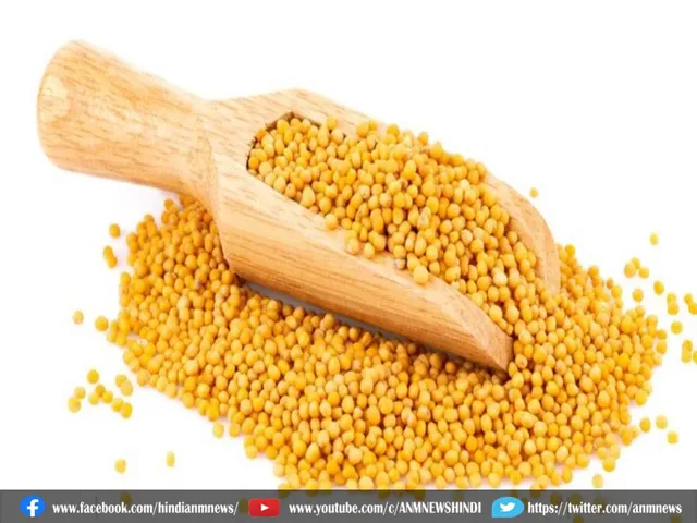 mustard