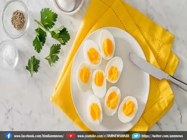 eggs