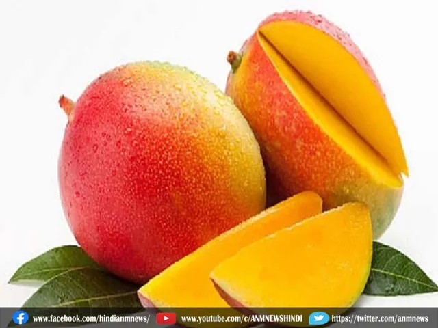 mango.
