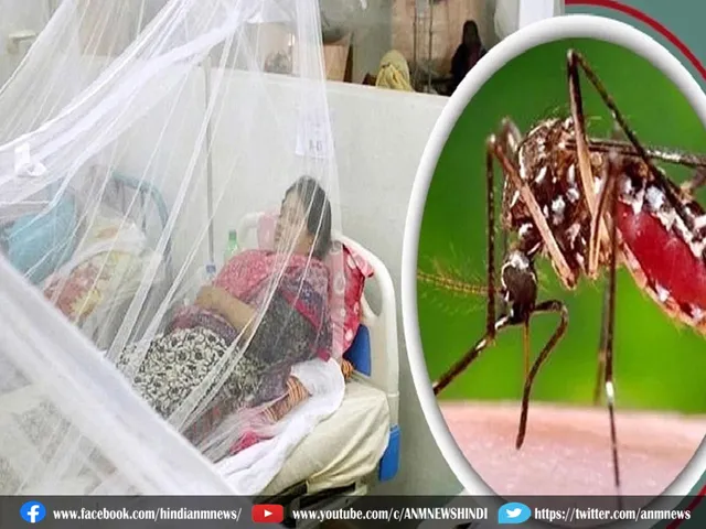denguemosquito