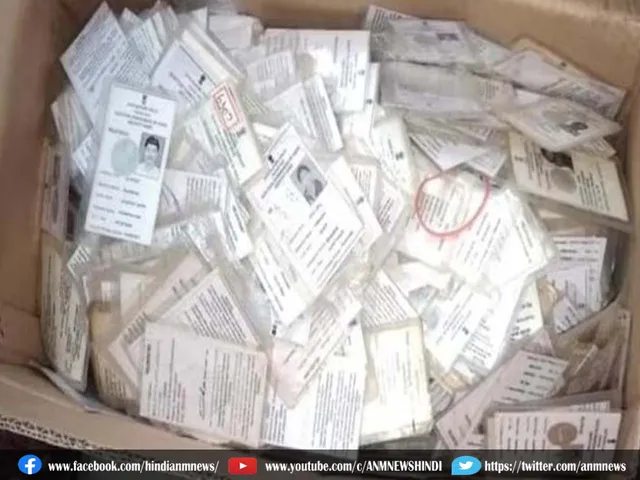 fake vote id