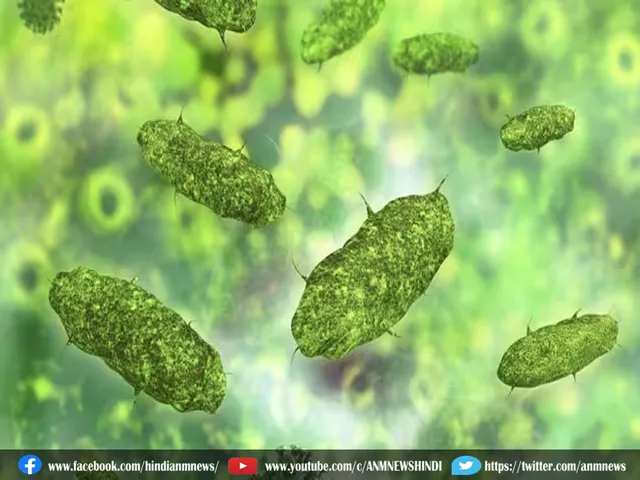 8 bacteria