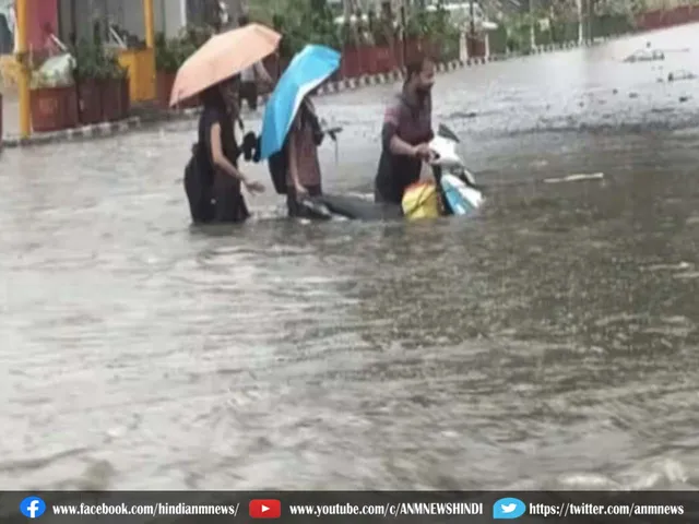 heavy rain pond