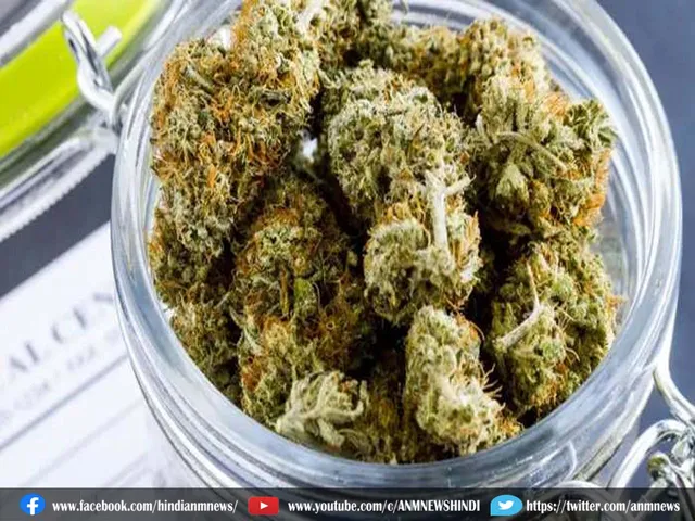 ganja