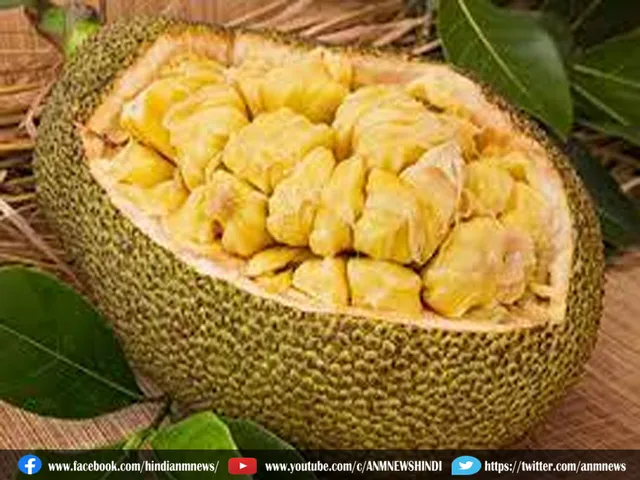 jack fruit