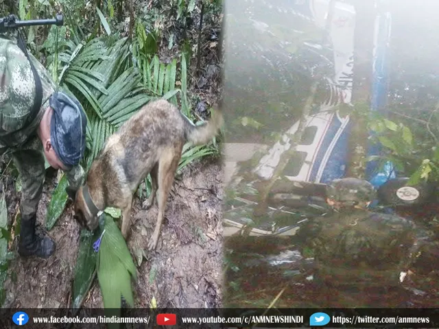 Plane crash in colombia