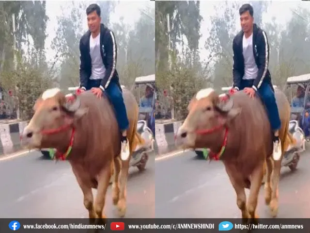 viral video