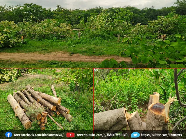 Forest Department