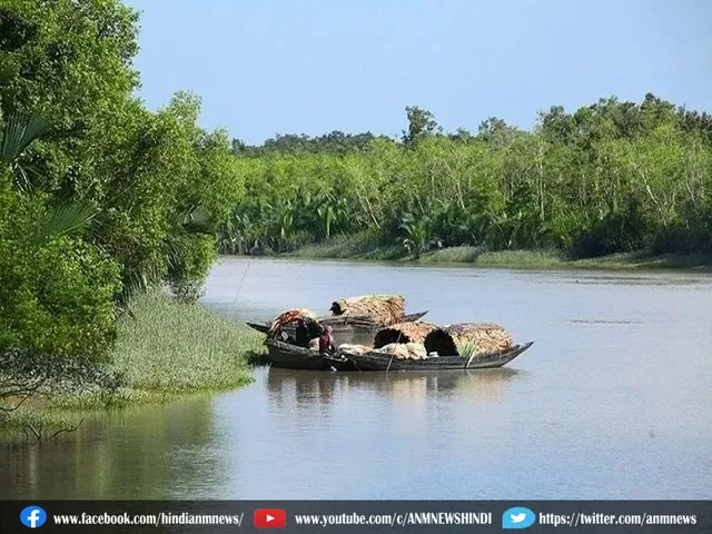 SUNDARVAN