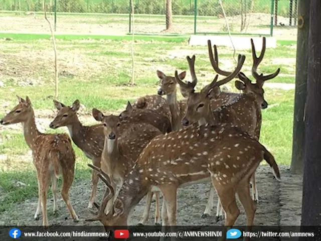 gate zoo