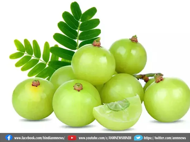 amla