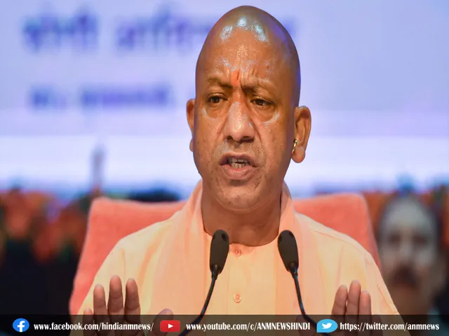 yogi