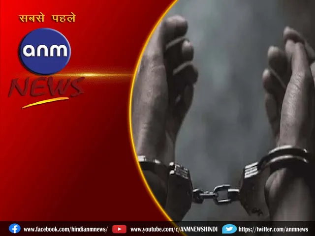 11 arrest
