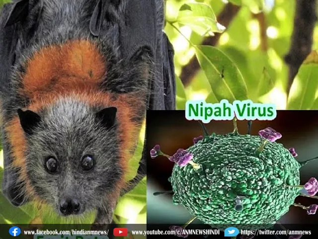 Nipah Virus