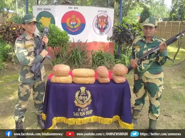 BSF 3007
