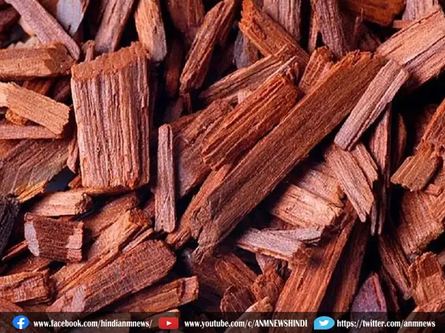 red sandal wood